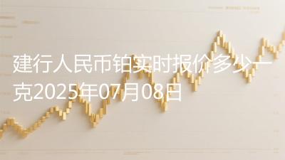 建行人民币铂实时报价多少一克2025年07月08日