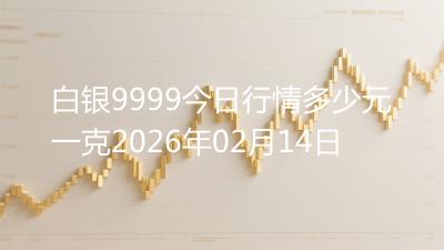 白银9999今日行情多少元一克2026年02月14日