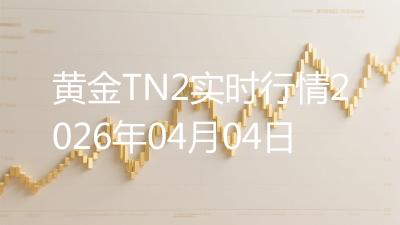 黄金TN2实时行情2026年04月04日