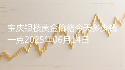 宝庆银楼黄金价格今天多少钱一克2025年06月14日