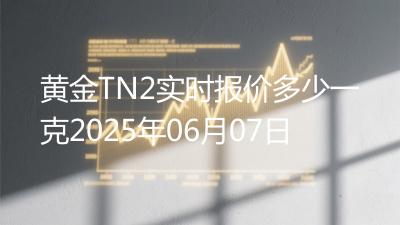 黄金TN2实时报价多少一克2025年06月07日