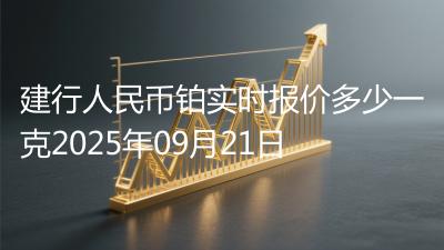 建行人民币铂实时报价多少一克2025年09月21日