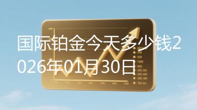 国际铂金今天多少钱2026年01月30日