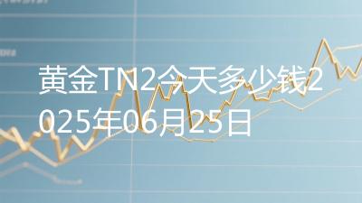 黄金TN2今天多少钱2025年06月25日