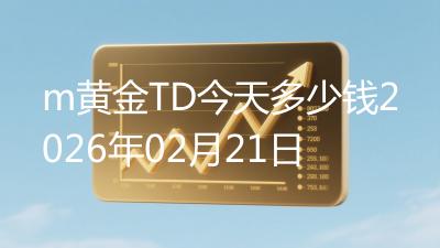 m黄金TD今天多少钱2026年02月21日