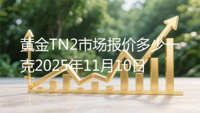 黄金TN2市场报价多少一克2025年11月10日