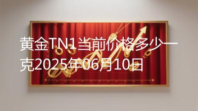 黄金TN1当前价格多少一克2025年06月10日