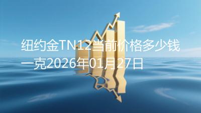 纽约金TN12当前价格多少钱一克2026年01月27日