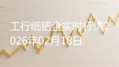 工行纸钯金实时行情2026年02月18日