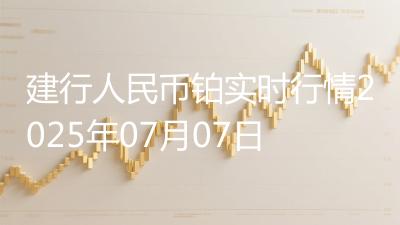 建行人民币铂实时行情2025年07月07日