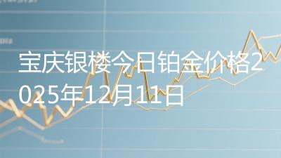 宝庆银楼今日铂金价格2025年12月11日