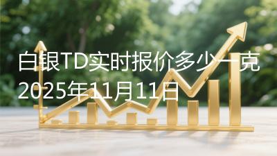 白银TD实时报价多少一克2025年11月11日