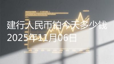 建行人民币铂今天多少钱2025年11月06日