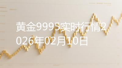 黄金9995实时行情2026年02月10日