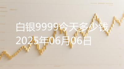 白银9999今天多少钱2025年06月06日
