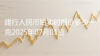 建行人民币铂实时报价多少一克2025年07月01日