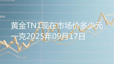 黄金TN1现在市场价多少元一克2025年09月17日