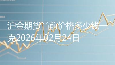 沪金期货当前价格多少钱一克2026年02月24日