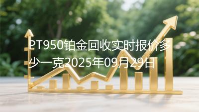 PT950铂金回收实时报价多少一克2025年09月29日