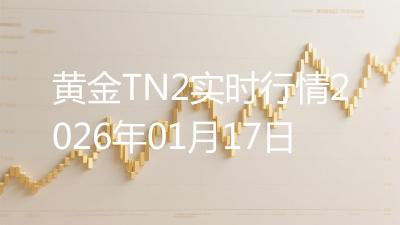 黄金TN2实时行情2026年01月17日