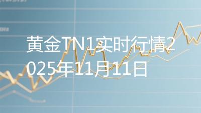 黄金TN1实时行情2025年11月11日