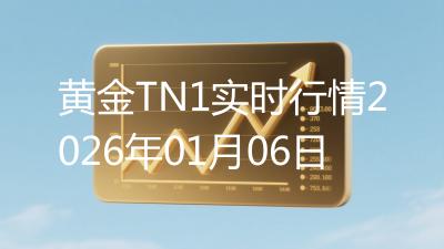 黄金TN1实时行情2026年01月06日