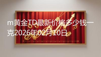 m黄金TD最新价格多少钱一克2026年02月10日