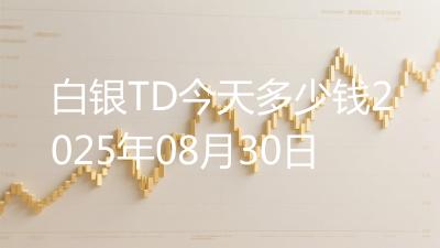 白银TD今天多少钱2025年08月30日