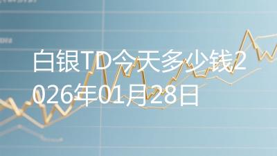白银TD今天多少钱2026年01月28日