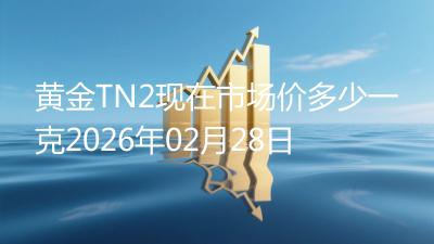 黄金TN2现在市场价多少一克2026年02月28日
