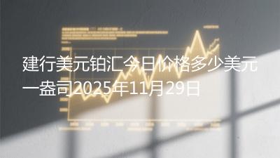 建行美元铂汇今日价格多少美元一盎司2025年11月29日