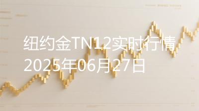 纽约金TN12实时行情2025年06月27日
