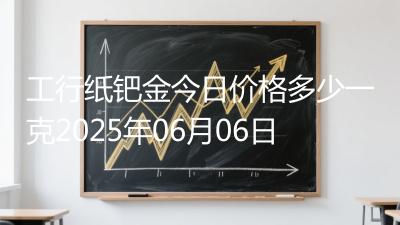 工行纸钯金今日价格多少一克2025年06月06日