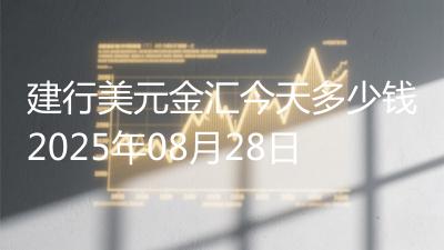 建行美元金汇今天多少钱2025年08月28日