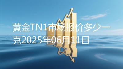 黄金TN1市场报价多少一克2025年06月11日