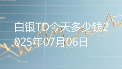 白银TD今天多少钱2025年07月06日
