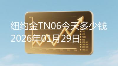 纽约金TN06今天多少钱2026年01月29日