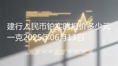 建行人民币铂实时报价多少元一克2025年06月13日