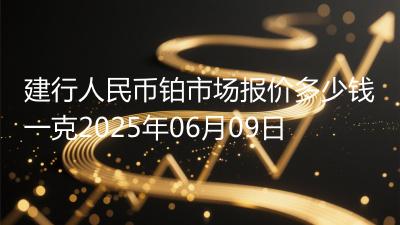 建行人民币铂市场报价多少钱一克2025年06月09日
