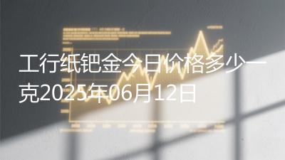 工行纸钯金今日价格多少一克2025年06月12日