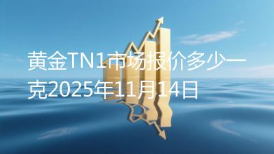 黄金TN1市场报价多少一克2025年11月14日