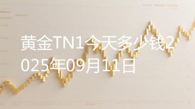 黄金TN1今天多少钱2025年09月11日