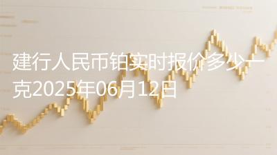 建行人民币铂实时报价多少一克2025年06月12日