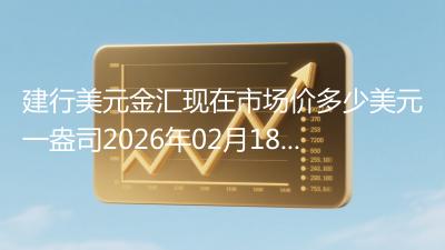 建行美元金汇现在市场价多少美元一盎司2026年02月18日