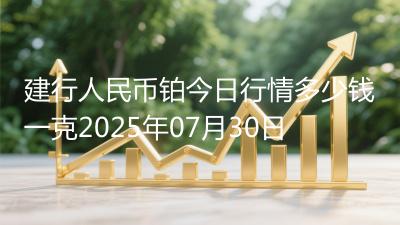 建行人民币铂今日行情多少钱一克2025年07月30日