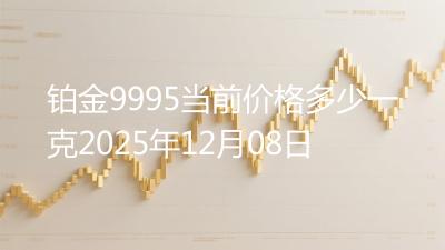 铂金9995当前价格多少一克2025年12月08日