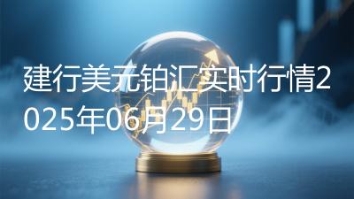 建行美元铂汇实时行情2025年06月29日