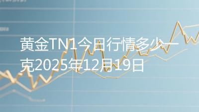 黄金TN1今日行情多少一克2025年12月19日