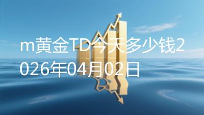 m黄金TD今天多少钱2026年04月02日