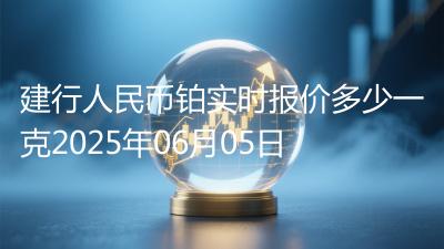 建行人民币铂实时报价多少一克2025年06月05日